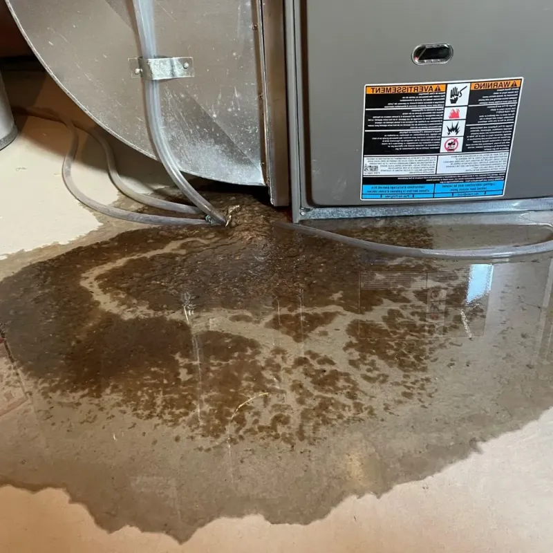 Pipe Burst and Leak Restoration in Enosburg Falls, VT