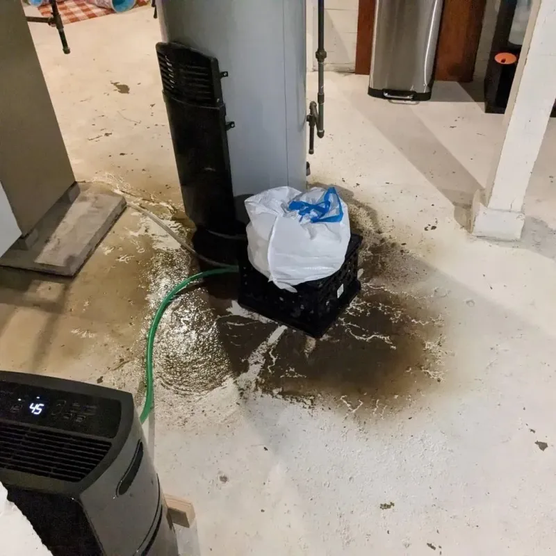 Sewage Backup Cleanup Service in Enosburg Falls, VT